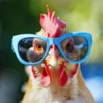 Profilbild von Verena